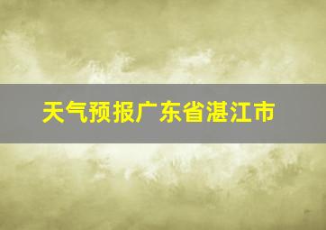 天气预报广东省湛江市