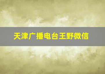 天津广播电台王野微信