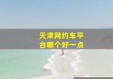 天津网约车平台哪个好一点