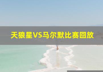 天狼星VS马尔默比赛回放