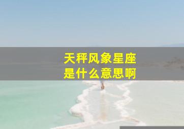 天秤风象星座是什么意思啊