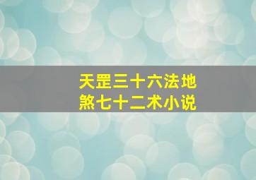 天罡三十六法地煞七十二术小说