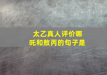 太乙真人评价哪吒和敖丙的句子是