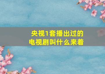 央视1套播出过的电视剧叫什么来着