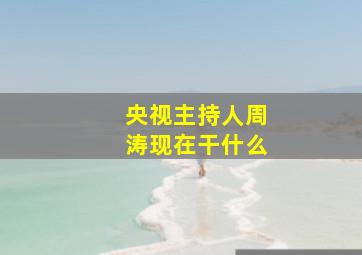 央视主持人周涛现在干什么