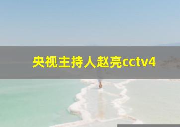 央视主持人赵亮cctv4