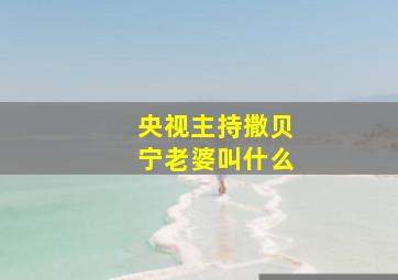 央视主持撒贝宁老婆叫什么