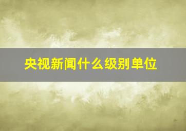 央视新闻什么级别单位