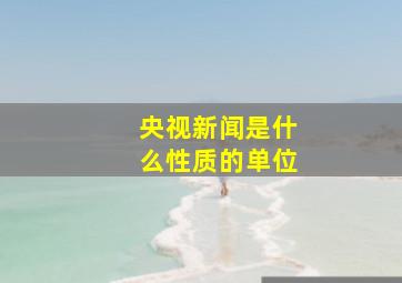 央视新闻是什么性质的单位