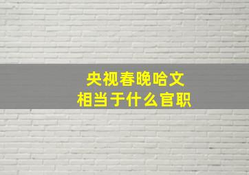 央视春晚哈文相当于什么官职