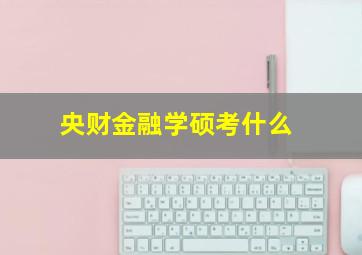 央财金融学硕考什么