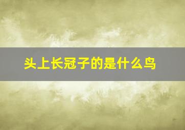 头上长冠子的是什么鸟