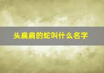 头扁扁的蛇叫什么名字