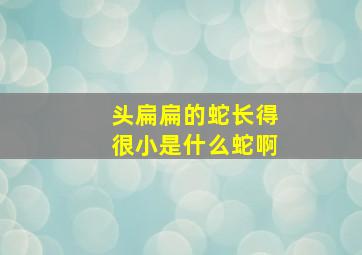 头扁扁的蛇长得很小是什么蛇啊