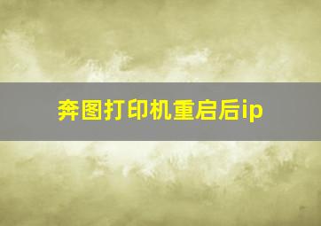 奔图打印机重启后ip