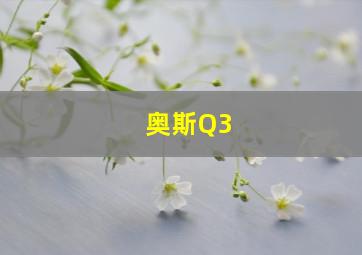 奥斯Q3