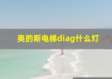 奥的斯电梯diag什么灯