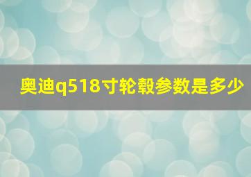 奥迪q518寸轮毂参数是多少