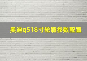 奥迪q518寸轮毂参数配置