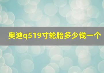 奥迪q519寸轮胎多少钱一个