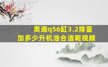 奥迪q56缸3.2排量加多少升机油合适呢视频