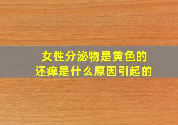 女性分泌物是黄色的还痒是什么原因引起的