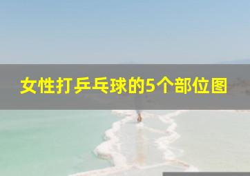 女性打乒乓球的5个部位图