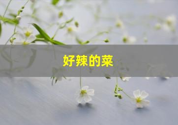 好辣的菜