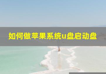 如何做苹果系统u盘启动盘