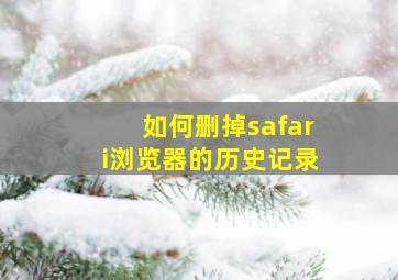 如何删掉safari浏览器的历史记录