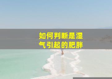 如何判断是湿气引起的肥胖