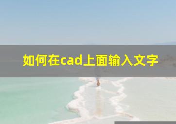 如何在cad上面输入文字