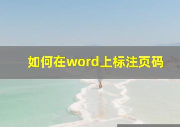 如何在word上标注页码