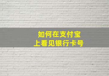 如何在支付宝上看见银行卡号