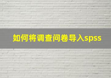 如何将调查问卷导入spss