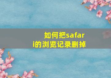 如何把safari的浏览记录删掉