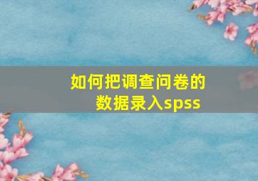 如何把调查问卷的数据录入spss