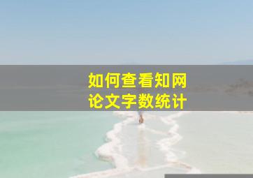 如何查看知网论文字数统计