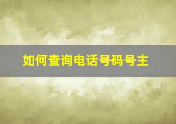 如何查询电话号码号主