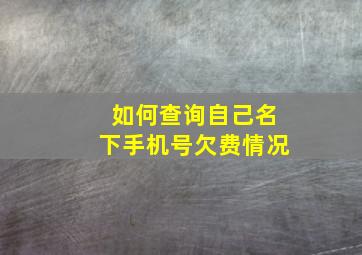 如何查询自己名下手机号欠费情况