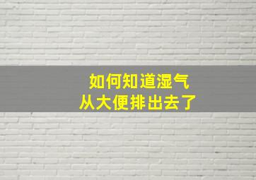 如何知道湿气从大便排出去了