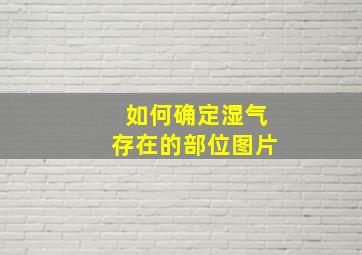 如何确定湿气存在的部位图片