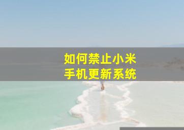 如何禁止小米手机更新系统