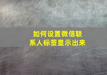 如何设置微信联系人标签显示出来