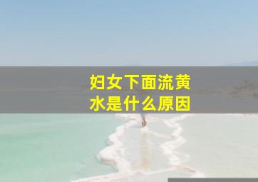 妇女下面流黄水是什么原因