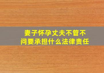 妻子怀孕丈夫不管不问要承担什么法律责任