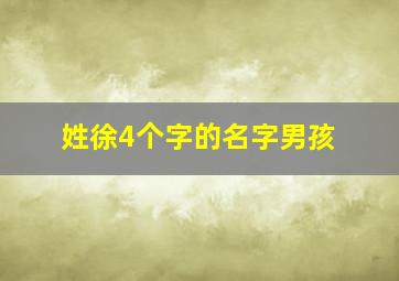 姓徐4个字的名字男孩