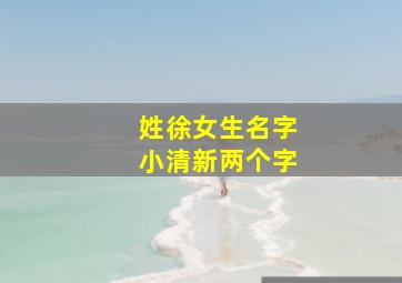 姓徐女生名字小清新两个字