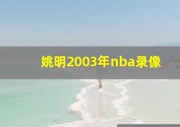 姚明2003年nba录像