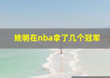 姚明在nba拿了几个冠军